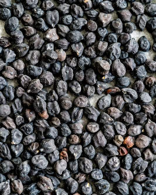 Ingredient: Black Chickpeas of Puglia. The Dark Pulse of the South