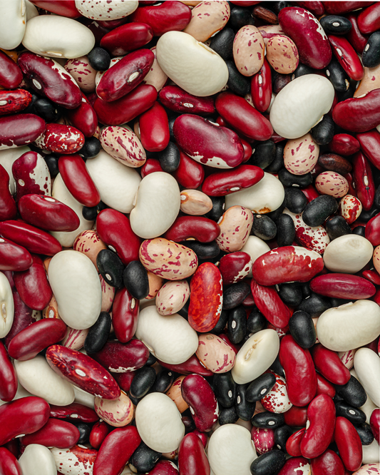 Ingredient: Beans & Pasta in Italy: The Humble Heartbeat of the Italian Table