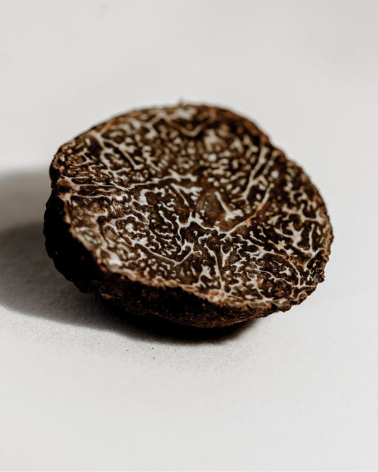Ingredient: The Quiet Majesty of the Tartufo Nero d’Abruzzo