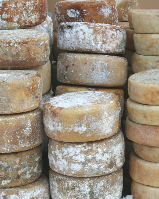 Ingredient: Pecorino + Pasta, A Cheesy Love Story