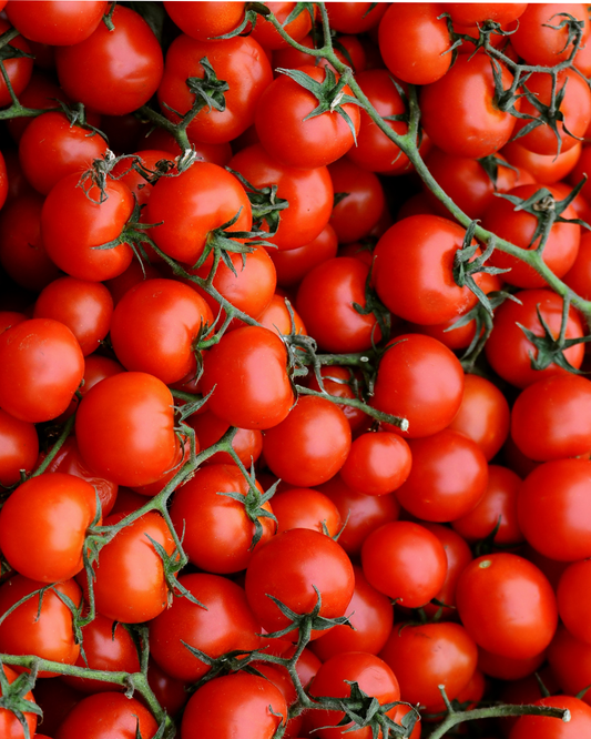Ingredient: Tomato: From the New World to the Heart of Italy