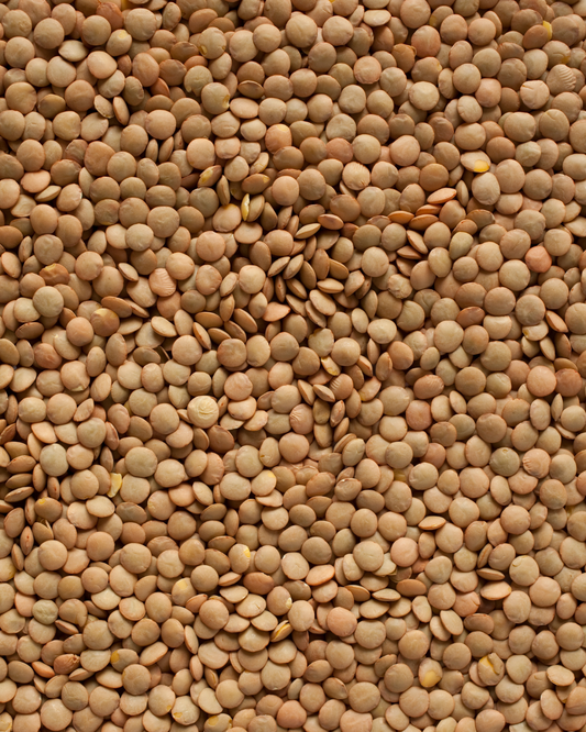 Ingredient: Lentils. Italy’s Humble, Nutritious Jewel