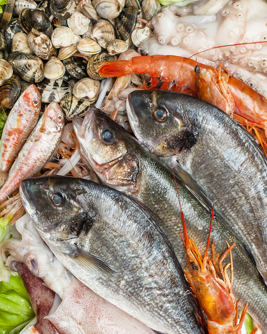 Ingredient: Seafood of the Adriatic. The Blue Soul of Puglia