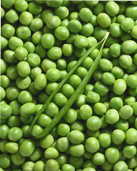 Ingredient: Green Peas – Tiny Gems of Italian Cuisine