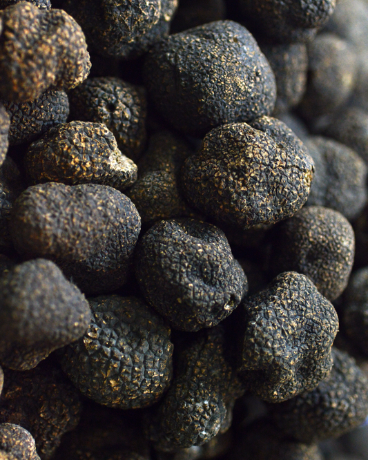Ingredient: Black Truffle in Umbria