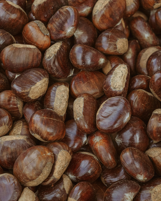 Ingredient: Chestnuts — the sweet flour of poverty, pride, and stubborn mountains