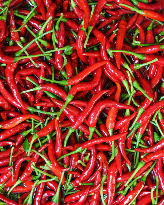 Ingredient: Chilli. Calabria’s Fiery Gem