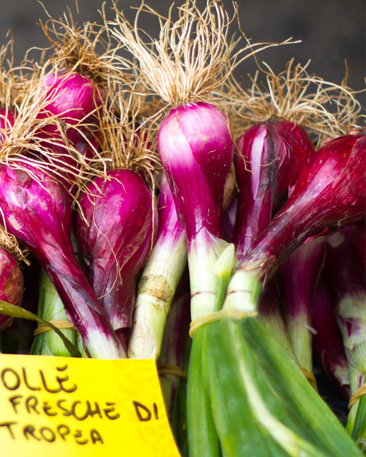 Ingredient: The Red Onion of Tropea. Sweet, Sultry, and Absolutely Legendary