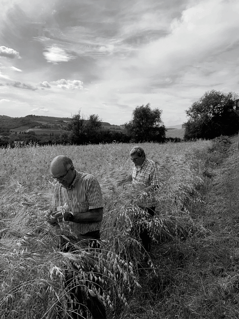 Artisan: Pasta Tirrena — The Discipline of Tradition in a Region That Doesn’t Forgive Mediocrity