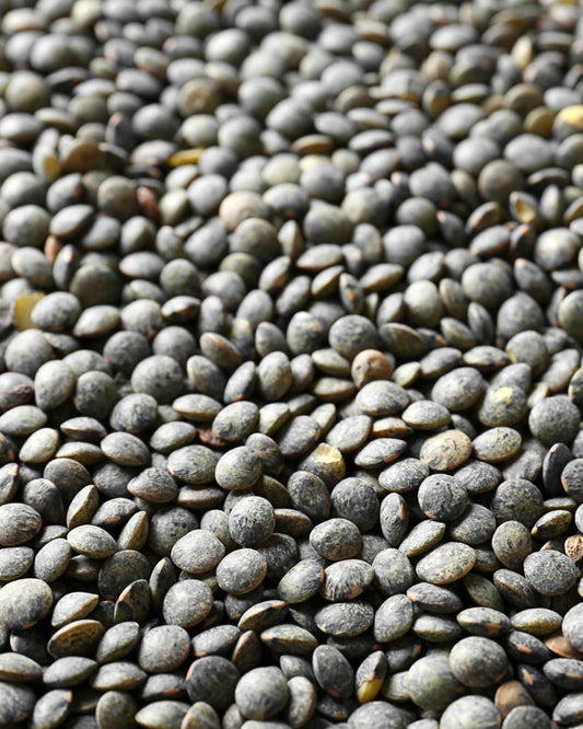 Lentils — Italy’s Quiet Pulse